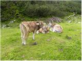 Planina Podvežak - Mala Ojstrica